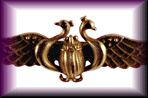 Egyptian Revival pin with golden scarab.