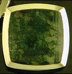 Carter, Gough moss agate cufflinks. (CL9711)