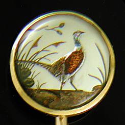 Victorian pheasant reverse intaglio stickpin. (J9246)